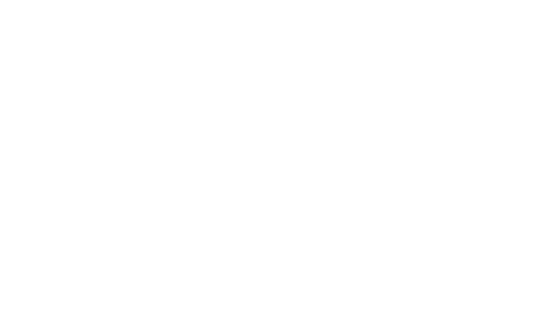 Backpack Stereo
