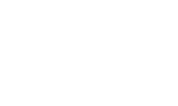 Backpack Stereo